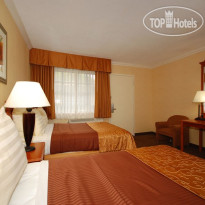 Best Western Hollywood Plaza Inn 