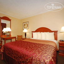 Best Western Hollywood Plaza Inn 