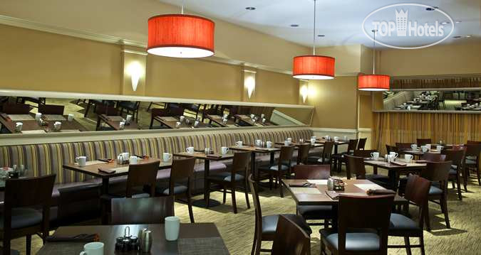 New photos from tourists Hilton Pasadena 3*