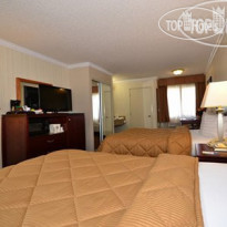 Comfort Inn & Suites LAX Airport 