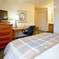 Staybridge Suites San Diego-Sorrento Mesa Стандартный номер