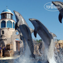 Holiday Inn Express San Diego - Escondido 