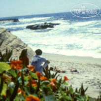 Best Western Inn by the Sea 