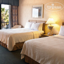 Best Western Inn by the Sea 