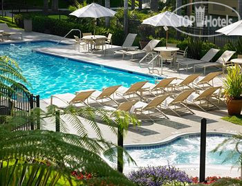 New photos from tourists Sheraton La Jolla 3*