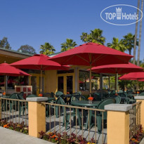 Best Western Seven Seas 