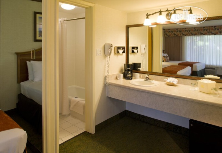 New photos from tourists Best Western Seven Seas 3*