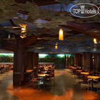 Disney's Animal Kingdom Villas - Kidani Village 