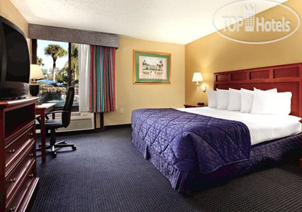 New photos from tourists Comfort Inn Maingate 3*