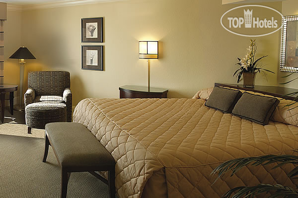 New photos from tourists Rosen Centre 3*