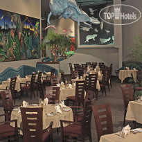 Rosen Centre 
