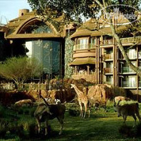 Disneys Animal Kingdom Lodge 