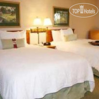 Hampton Inn Orlando International Drive Convention Center 