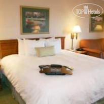 Hampton Inn Orlando International Drive Convention Center 