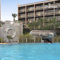 Sheraton Lake Buena Vista Resort 