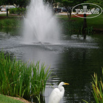 Oak Plantation Resort