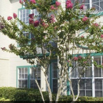Oak Plantation Resort