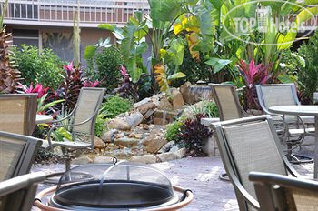 New photos from tourists Champions World Resort 2*