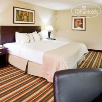 Holiday Inn Orlando SW - Celebration Area