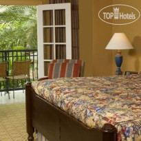 Gaylord Palms Resort & Convention Center