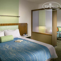 SpringHill Suites Orlando at Seaworld