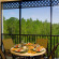 Caribe Cove Resort 