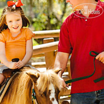 The Cabins at Disney s Fort Wilderness Resort 