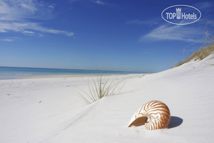 New photos from tourists Ramada Hollywood Beach Resort 3*