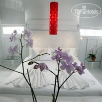 Catalina Hotel & Beach Club 