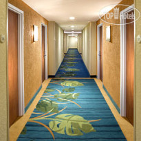 Courtyard Miami Beach South Beach 