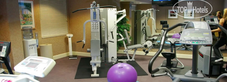 Новые добавленные фото туристов Hampton Inn & Suites Miami Airport South Blue Lagoon 3*