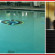 Miccosukee Resort & Gaming 