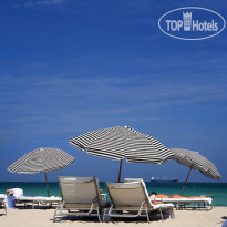 SpringHill Suites Miami Airport South 