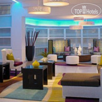 Wyndham Garden Hotel Miami South Beach 