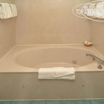 Comfort Inn & Executive Suites Naples 