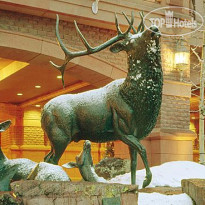 The St. Regis Aspen