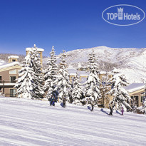 The Timberline Condominiums 