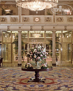 New photos from tourists Park Plaza Boston Hotel and Towers 3*