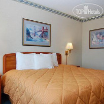 Comfort Inn By the Bay 