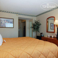 Comfort Inn By the Bay 