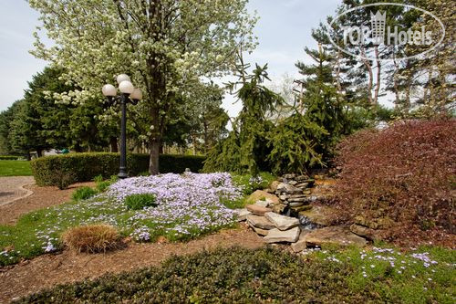 New photos from tourists Holiday Inn Marietta 3*