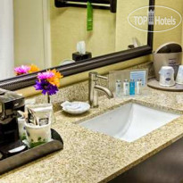 Hampton Inn & Suites Cleveland-Airport Middleburg Heights 