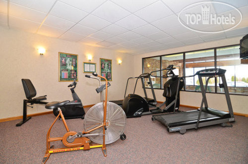 New photos from tourists Best Western Falcon Plaza 3*