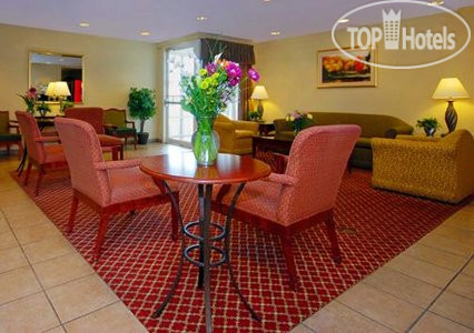 New photos from tourists Quality Inn Holland 2*