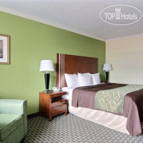 Comfort Inn Austintown 