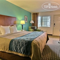 Comfort Inn Austintown 