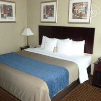 Comfort Inn Rochester 