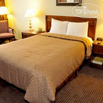 Best Western Sovereign Hotel - Albany 