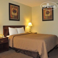 Best Western Sovereign Hotel - Albany 