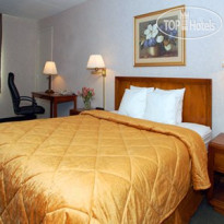 Comfort Inn The Pointe